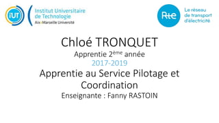 Chloé TRONQUET
Apprentie 2ème année
2017-2019
Apprentie au Service Pilotage et
Coordination
Enseignante : Fanny RASTOIN
 