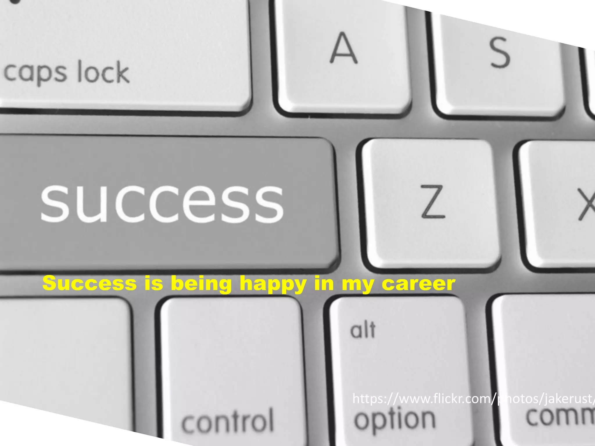 22
https://www.flickr.com/photos/jakerust/
Success is being happy in my career
 