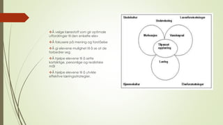 Å velge lærestoff som gir optimale 
utfordringer til den enkelte elev 
Å fokusere på mening og forståelse 
Å gi elevene mulighet til å se at de 
forbedrer seg 
Å hjelpe elevene til å sette 
kortsiktige, personlige og realistiske 
mål 
Å hjelpe elevene til å utvikle 
effektive læringsstrategier. 
 