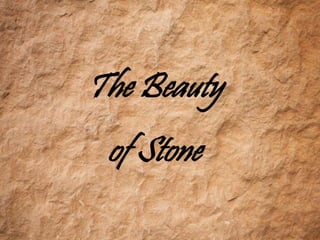 The Beauty
 of Stone
 