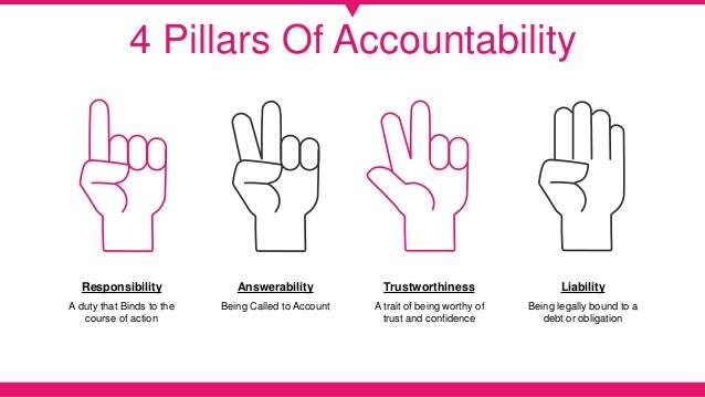Accountability And Auditing In Professional Practice