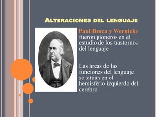 ALTERACIONES DEL LENGUAJE
         Paul Broca y Wernicke
         fueron pioneros en el
         estudio de los trastornos
         del lenguaje

         Las áreas de las
         funciones del lenguaje
         se sitúan en el
         hemisferio izquierdo del
         cerebro
 