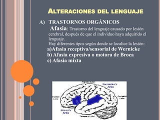 ALTERACIONES DEL LENGUAJE
A) TRASTORNOS ORGÁNICOS
   Afasia: Trastorno del lenguaje causado por lesión
    cerebral, después de que el individuo haya adquirido el
    lenguaje.
    Hay diferentes tipos según donde se localice la lesión:
   a)Afasia receptiva/sensorial de Wernicke
   b) Afasia expresiva o motora de Broca
   c) Afasia mixta
 