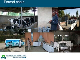 Outlook Dairy Development Ethiopia