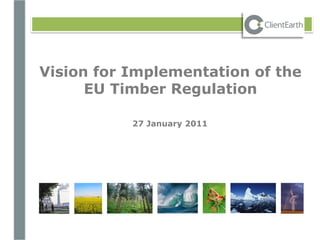 Vision for Implementation of the
      EU Timber Regulation

           27 January 2011
 