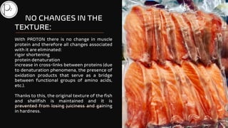 PROTON magnetic freezing of seafood products | PDF