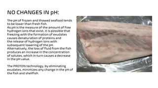 PROTON magnetic freezing of seafood products | PDF