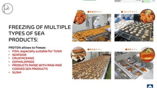 PROTON magnetic freezing of seafood products | PDF