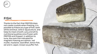 PROTON magnetic freezing of seafood products | PDF