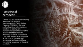 PROTON magnetic freezing of seafood products | PDF