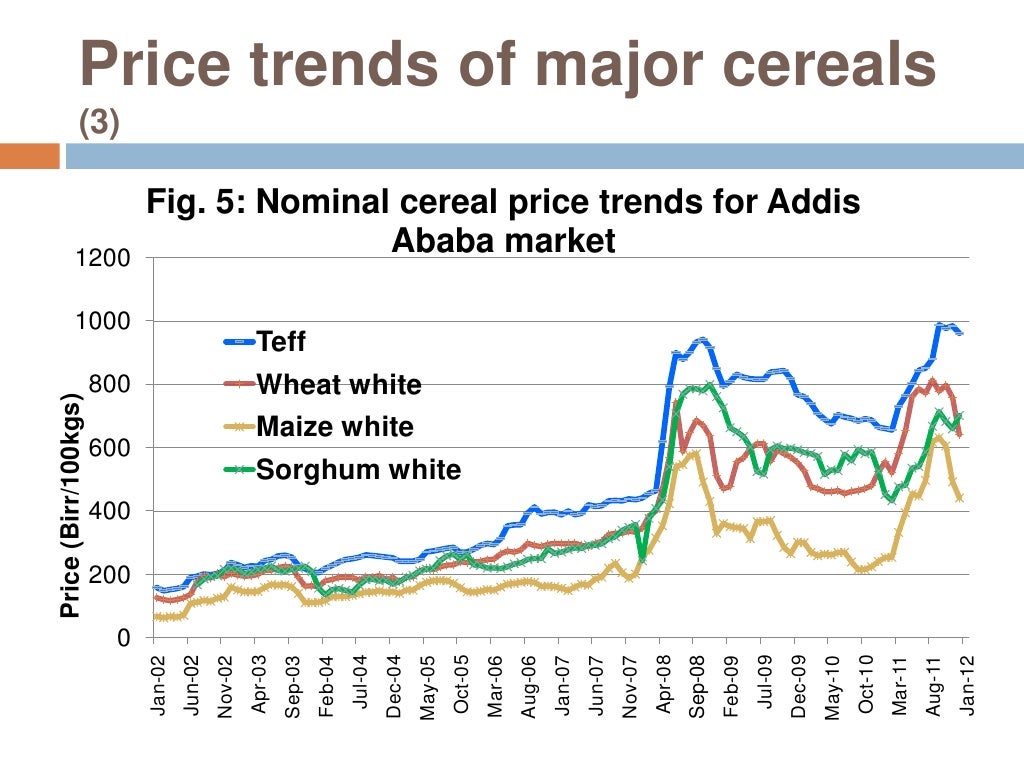 Dynamics of Food Prices in Ethiopia