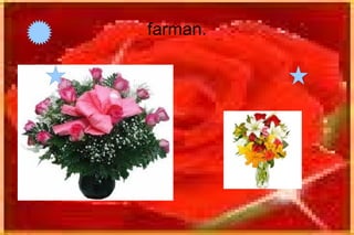 Www.farman170813.com flores 