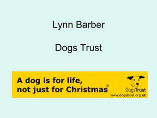 Lynn Barber Dogs Trust 