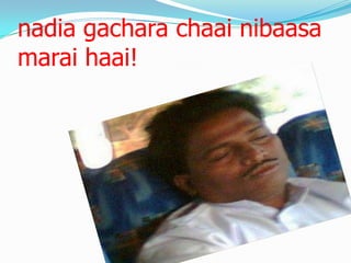 nadia gachara chaai nibaasa
marai haai!