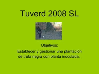 Tuverd 2008 SL Objetivos: Establecer y gestionar una plantación de trufa negra con planta inoculada.  