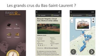 Les grands crus du Bas-Saint-Laurent ?
 