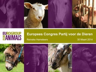Reineke Hameleers 30 Maart 2014
Europees Congres Partij voor de Dieren
 