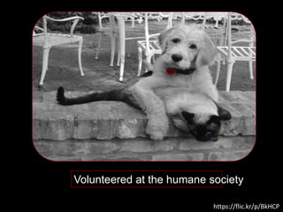 Volunteered at the humane society
https://flic.kr/p/BkHCP
 