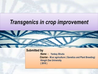Transgenics in crop improvement
Submitted by
Name - Yankey Bhutia
Course – M.sc agriculture ( Genetics and Plant Breeding)
Himgiri Zee University
( 2018 )
 
