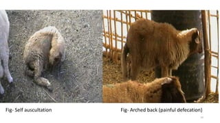 Nn
Fig- Self auscultation Fig- Arched back (painful defecation)
10
 