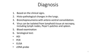 Diagnosis
1. Based on the clinical signs.
2. Histo-pathological changes in the lungs.
3. Bronchopneumonia with antero-ventral consolidation.
4. Virus can be isolated from lymphoid tissue at necropsy,
including lymph nodes, Peyer’s patches and spleen.
5. Blood examination
6. Serological test:
• AGI
• PCR
• ELISA
• cDNA probe
17
 