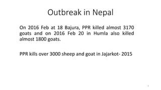 Outbreak in Nepal
On 2016 Feb at 18 Bajura, PPR killed almost 3170
goats and on 2016 Feb 20 in Humla also killed
almost 1800 goats.
PPR kills over 3000 sheep and goat in Jajarkot- 2015
6
 