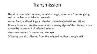 Transmission
The virus is secreted in tears, nasal discharge, secretions from coughing,
and in the faeces of infected animals.
Water, feed, and bedding can also be contaminated with secretions.
Since animals excrete the virus before showing signs of the disease, it can
spread by movement of infected animals.
Virus also present in semen and embryo
Offspring can also affected from the infected mother through milk
7
 