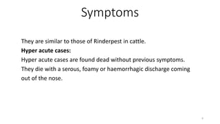 Symptoms
They are similar to those of Rinderpest in cattle.
Hyper acute cases:
Hyper acute cases are found dead without previous symptoms.
They die with a serous, foamy or haemorrhagic discharge coming
out of the nose.
8
 