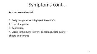 Symptoms cont...
Acute cases at onset
1. Body temperature is high (40.5 to 41 °C)
2. Loss of appetite
3. Depression
4. Ulcers in the gums (lower), dental pad, hard palate,
cheeks and tongue
9
 