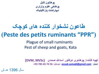 ‫کوچک‬ ‫های‬ ‫کننده‬ ‫نشخوار‬ ‫طاعون‬
(Peste des petits ruminants “PPR”)
‫کننده‬ ‫تهیه‬:‫صمدی‬ ‫اسدهللا‬ ‫دوکتور‬ ‫پوهندوی‬(DVM, MVSc)
‫ا‬‫یمیل‬:assad.samadi@gmail.com‫موبایل‬ ،:+93 785 65 74 56
‫کابل‬ ‫پوهنتون‬
‫وترنری‬ ‫علوم‬ ‫ی‬ً‫پوهنح‬
‫پاراکلینیک‬ ‫دیپارتمنت‬
Plague of small ruminants
Pest of sheep and goats, Kata
‫سال‬1396‫ش‬ ‫هـ‬
 
