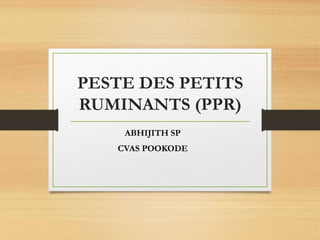 PESTE DES PETITS
RUMINANTS (PPR)
ABHIJITH SP
CVAS POOKODE
 