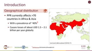 Spatio-temporal analysis of peste des petits ruminants in Uganda
