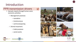 Spatio-temporal analysis of peste des petits ruminants in Uganda