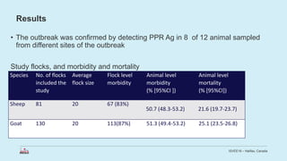 Economic impact of peste des petits ruminants outbreak and vaccination cost in northwest Ethiopia