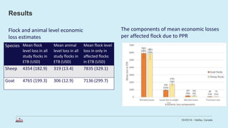 Economic impact of peste des petits ruminants outbreak and vaccination cost in northwest Ethiopia