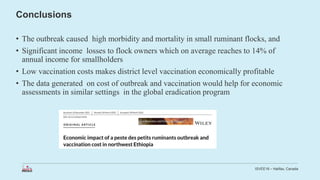 Economic impact of peste des petits ruminants outbreak and vaccination cost in northwest Ethiopia