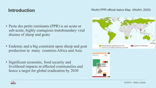 Economic impact of peste des petits ruminants outbreak and vaccination cost in northwest Ethiopia
