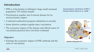 Economic impact of peste des petits ruminants outbreak and vaccination cost in northwest Ethiopia