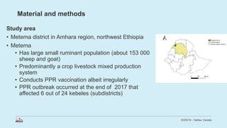 Economic impact of peste des petits ruminants outbreak and vaccination cost in northwest Ethiopia