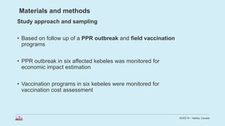 Economic impact of peste des petits ruminants outbreak and vaccination cost in northwest Ethiopia