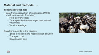 Economic impact of peste des petits ruminants outbreak and vaccination cost in northwest Ethiopia
