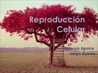 Reproducción
Celular
Natassia Aguirre
Sergio Guinea

 