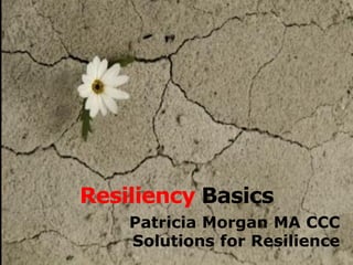 Resiliency Basics 
Patricia Morgan MA CCC 
Solutions for Resilience  