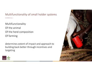 Understanding the importance of the social and economic impact of PPR
