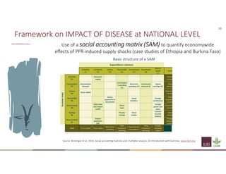 Understanding the importance of the social and economic impact of PPR
