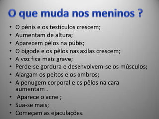 • O pénis e os testículos crescem;
• Aumentam de altura;
• Aparecem pêlos na púbis;
• O bigode e os pêlos nas axilas crescem;
• A voz fica mais grave;
• Perde-se gordura e desenvolvem-se os músculos;
• Alargam os peitos e os ombros;
• A penugem corporal e os pêlos na cara
  aumentam .
• Aparece o acne ;
• Sua-se mais;
• Começam as ejaculações.
 