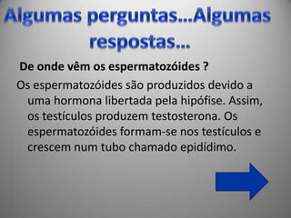 De onde vêm os espermatozóides ?
Os espermatozóides são produzidos devido a
 uma hormona libertada pela hipófise. Assim,
 os testículos produzem testosterona. Os
 espermatozóides formam-se nos testículos e
 crescem num tubo chamado epidídimo.
 