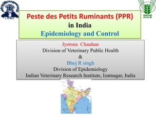 Jyotsna Chauhan
Division of Veterinary Public Health
&
Bhoj R singh
Division of Epidemiology
Indian Veterinary Research Institute, Izatnagar, India
Peste des Petits Ruminants (PPR)
in India
Epidemiology and Control
 