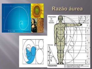 Casa do Aprendiz - Flávio Pereira