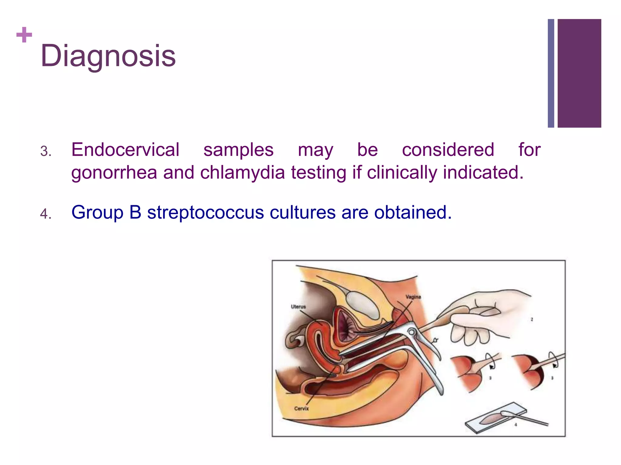 +
Diagnosis
3. Endocervical samples may be considered for
gonorrhea and chlamydia testing if clinically indicated.
4. Group B streptococcus cultures are obtained.
 